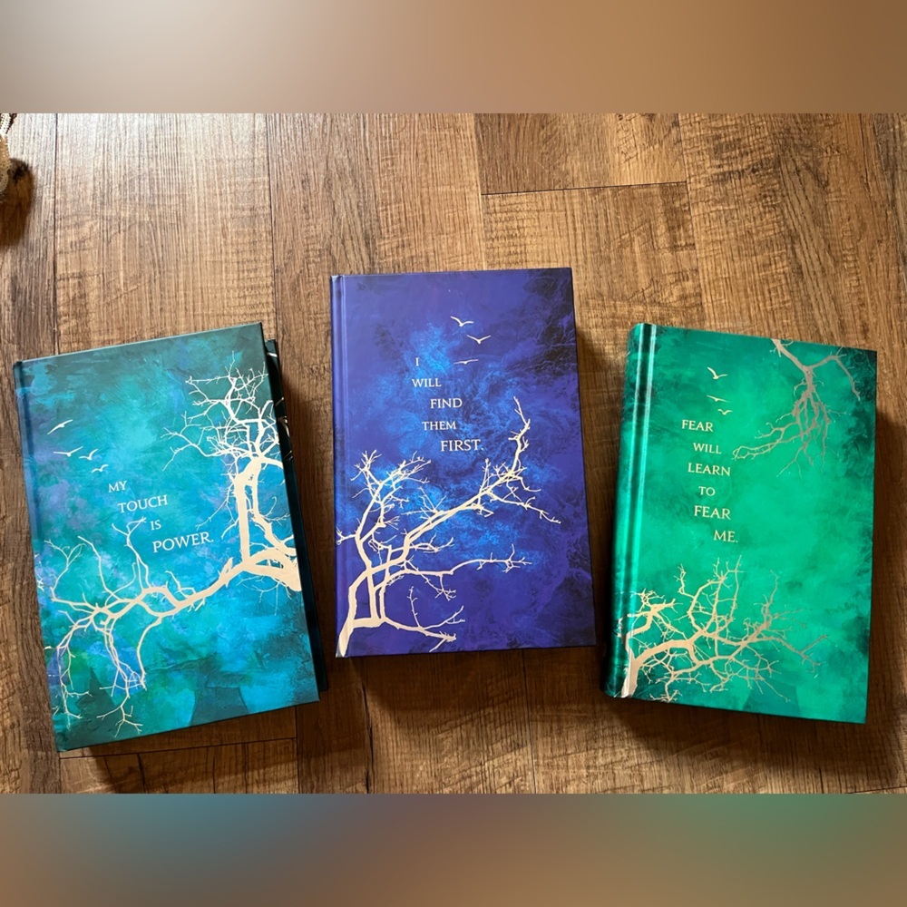 Fairyloot Shatter Me - Picture 5 of 7